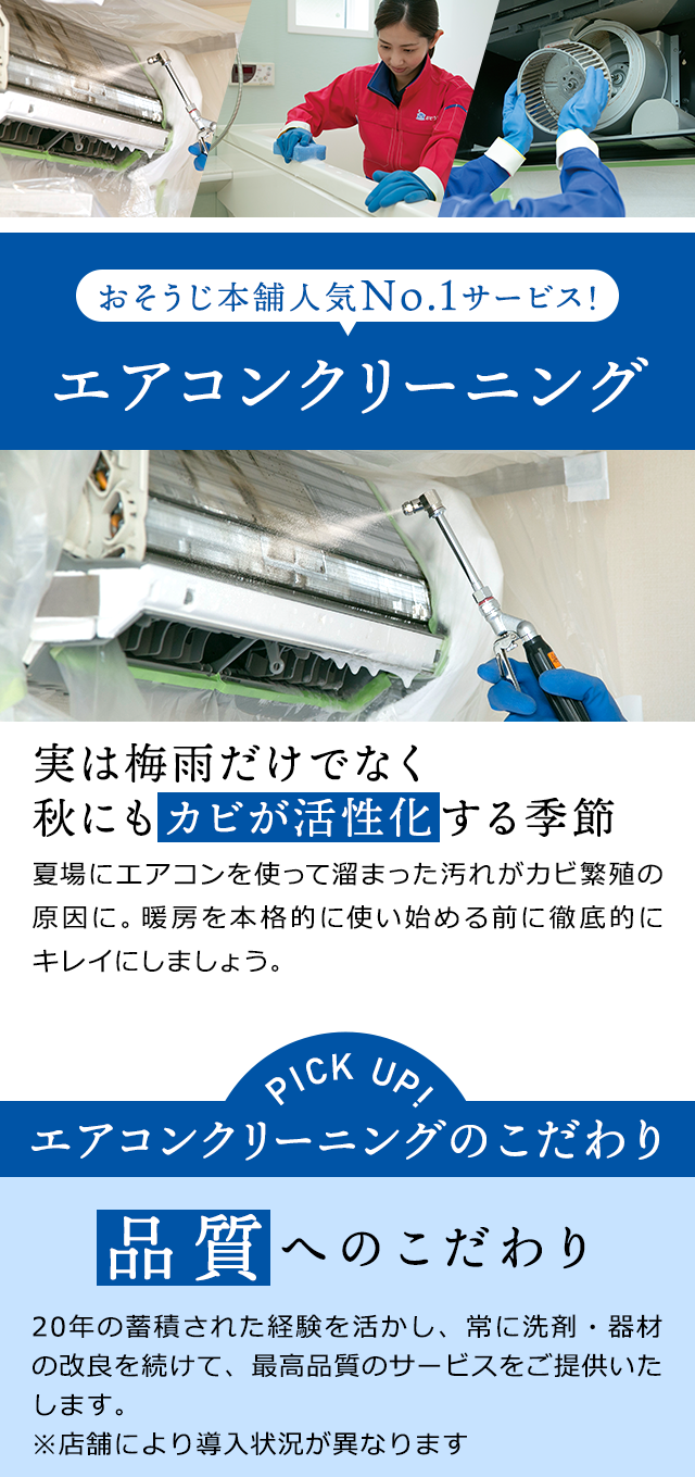 sp_2011oosouji_03 sp_2011oosouji_03